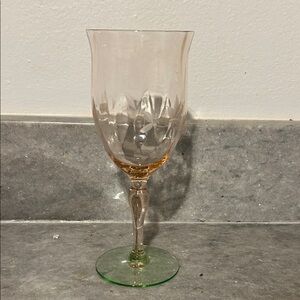 Elegant Weston Watermelon pink optic floral etch  Crystal Wine Glass 7/1/4